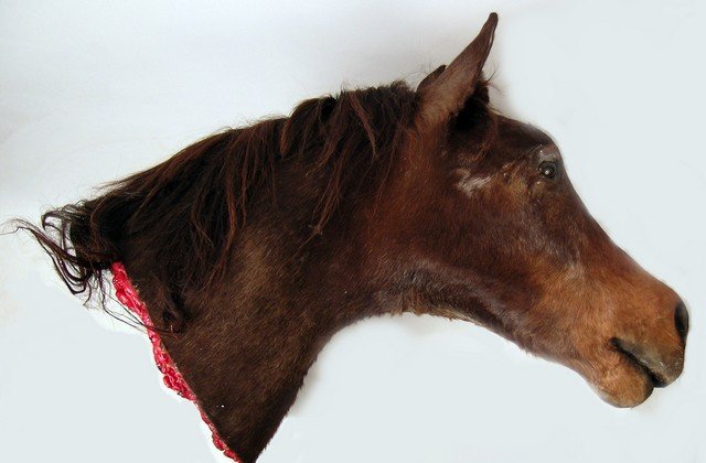 The Godfather Jack Woltz Bedroom Severed Horse Head : Lot 12