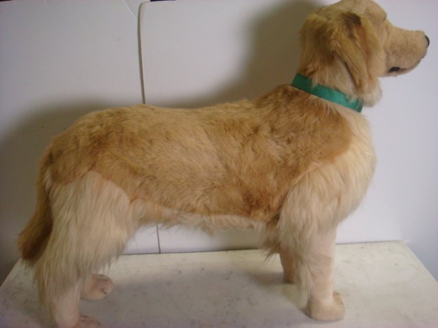 plush golden retriever jockline plush golden retriever paddington 1072 lot 206 plush golden retriever jockline plush golden retriever paddington 1072 lot 206