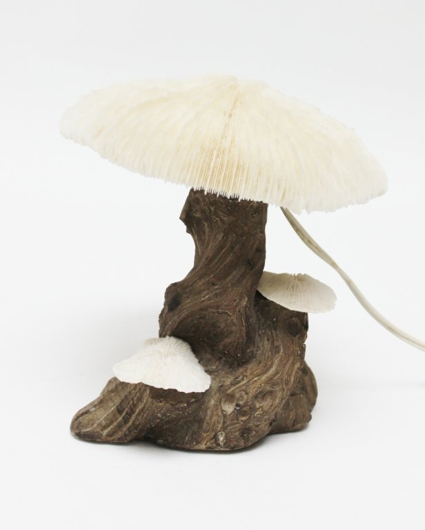 127 Coral and Wood Mushroom Lamp Lot 127