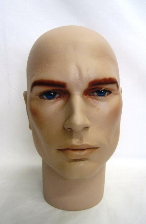 254: MALE MANNEQUIN HEAD : Lot 254