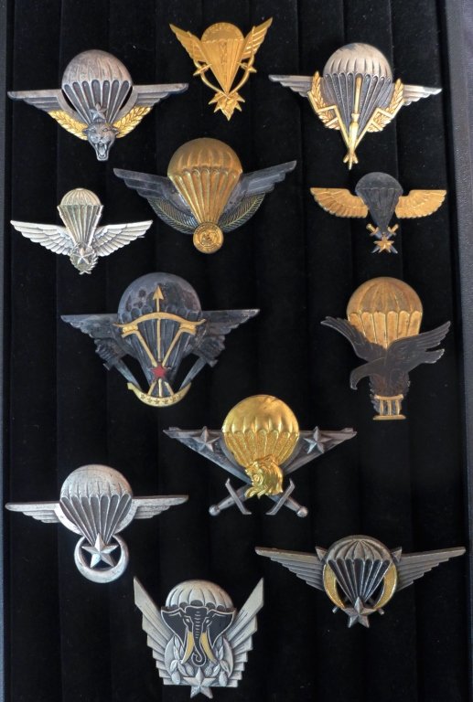 African Airborne Paratrooper Jump Wings : Lot 200