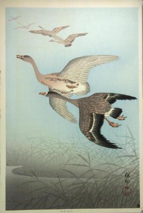 355: Japanese 1926 Ohara Koson Geese Woodblock Print : Lot 355