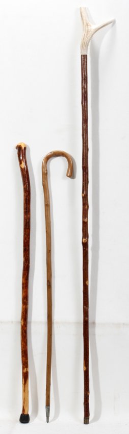 040183: SCOTTISH & SWISS WALKING STICKS & COUNTRY CANE : Lot 40183