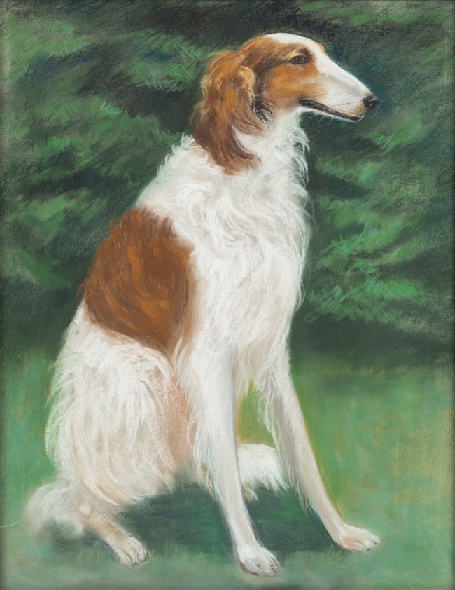 American Oil Pastel on Paper, 'Sasha, a Borzoi', H 24.5