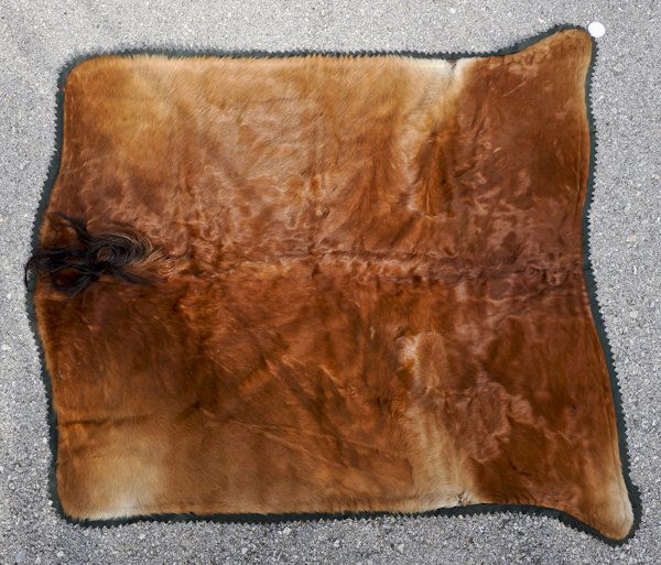 Horse hide carriage blanket by Edes Robe Tanning Lot 1332