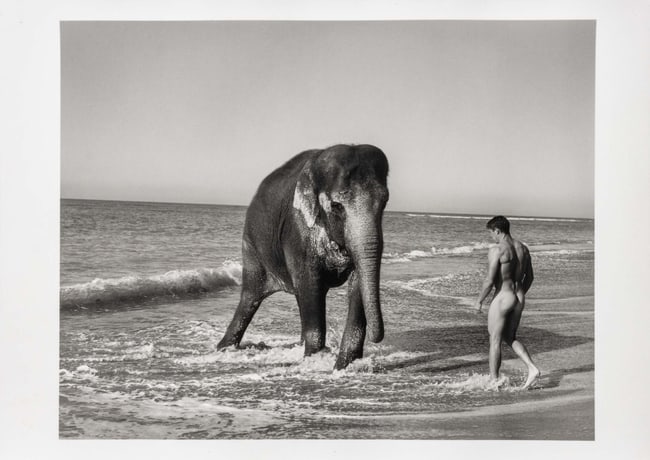 Bruce Weber 