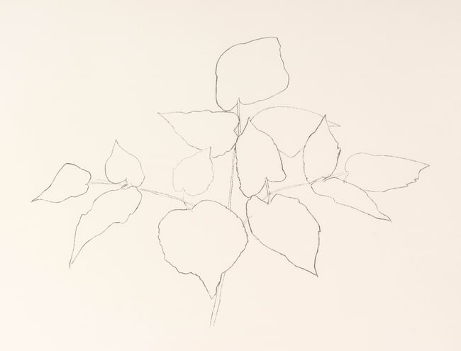 Ellsworth Kelly 