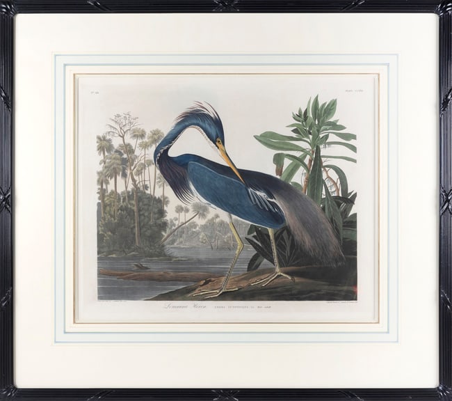 AFTER AFTER JOHN JAMES LAFOREST AUDUBON (New York/France, 1785-1851), 