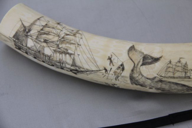 Scrimshaw Authentic Walrus Tusk : Lot 7381