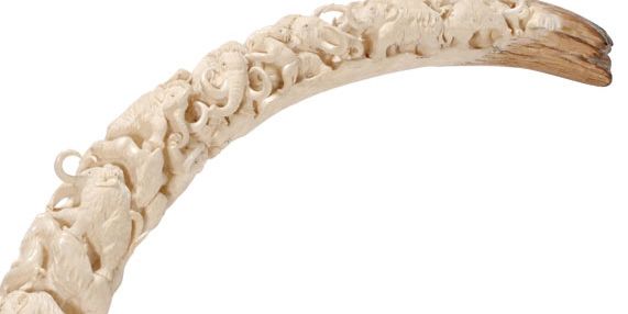 4108A: Rare Hand Carved Mastodon Ivory Mammoth Tusk : Lot 4108A