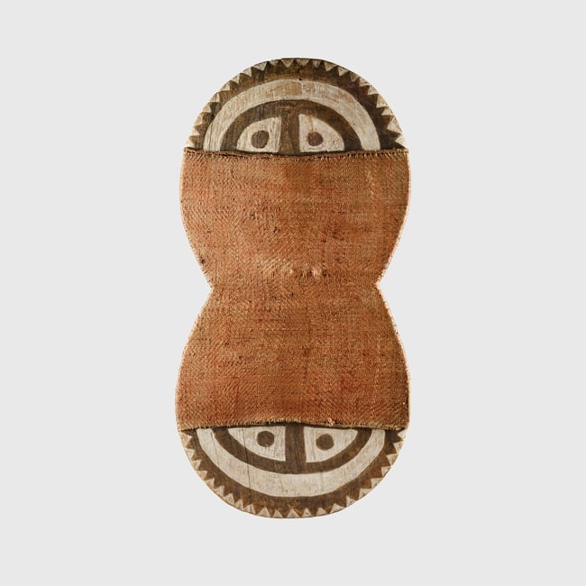 MOTU SHIELD
